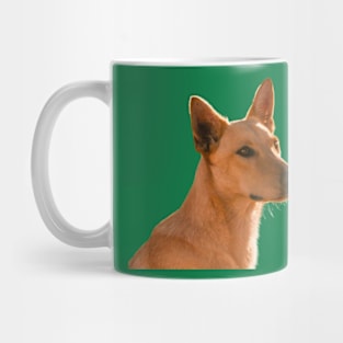 The Dingo Mug